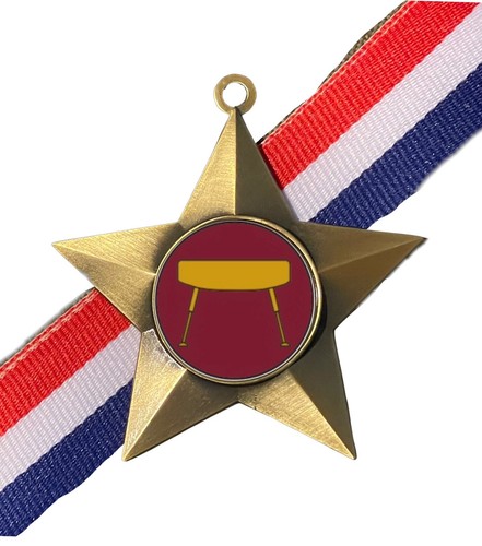 Gymnastics pommel horse award - pommel,