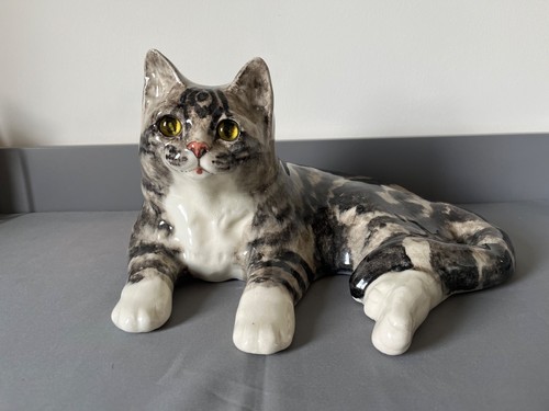 Beautiful winstanley tabby cat - winstanley,