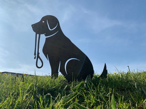 Labrador retriever rusty metal - labrador,