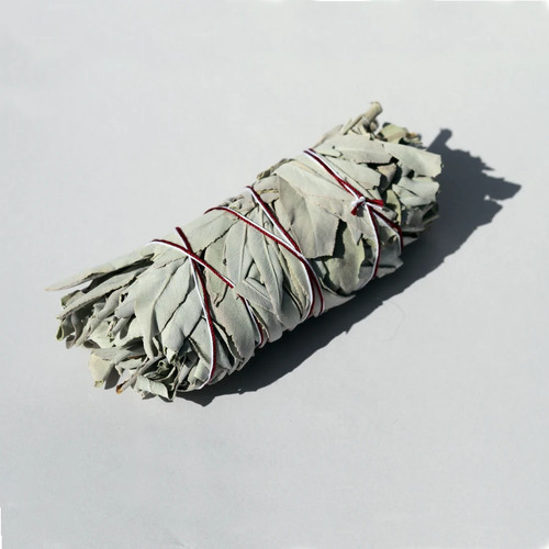 White sage californian - sage,