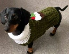 Miniature Dachshund Jumper - Handmade - Christmas Pudding Jumper - New 