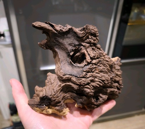 Aquarium natural driftwood - aquarium,