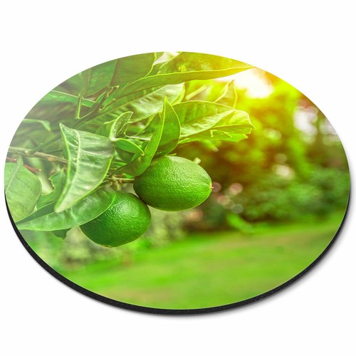 Round mouse mat citrus - round,