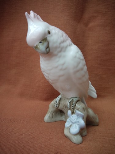 Royal dux cockatoo parrot - /, parrot"