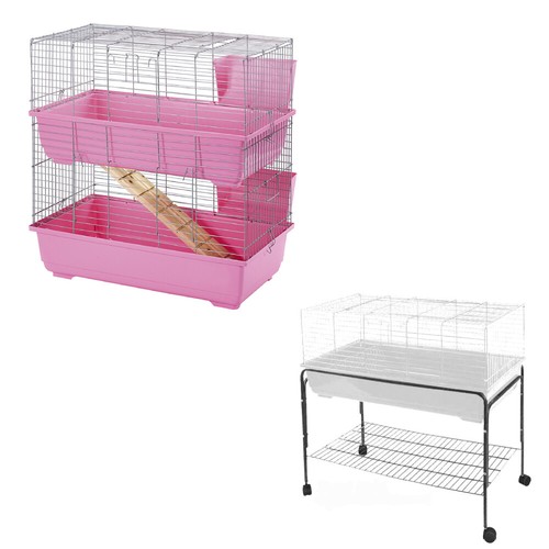 Rabbit guinea pig bunny - rabbit,