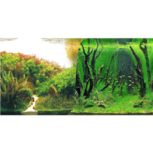 Seaview planted forest - seaview, /