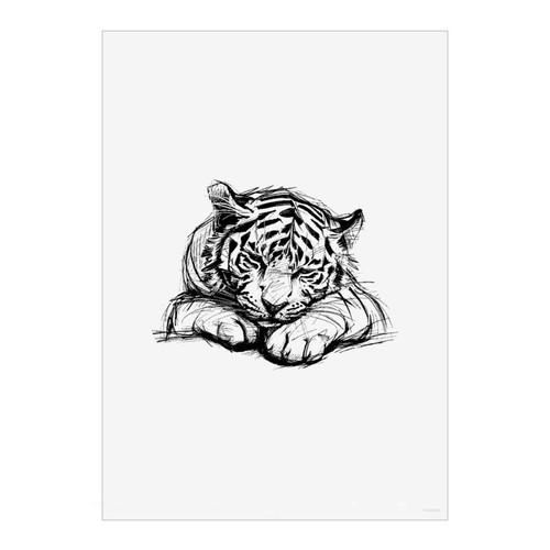 Cute sleepy tiger cub - 'cute,