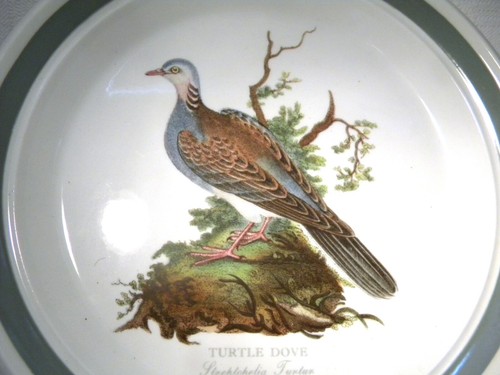 Portmeirion birds britain - birds,