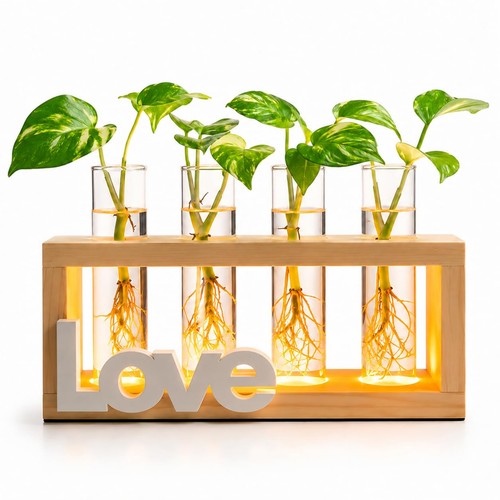 Plant propagation station with - propagation,