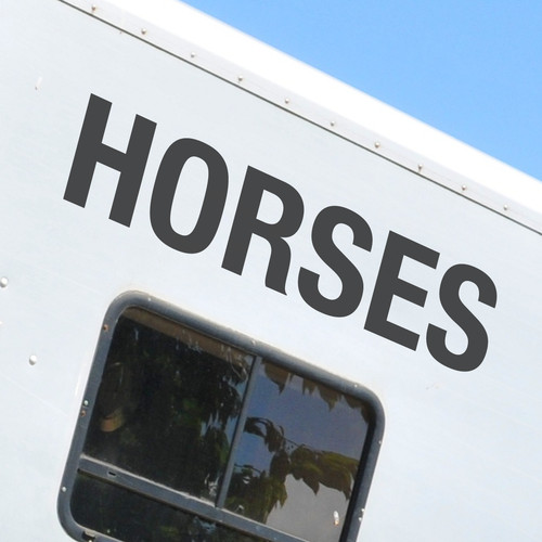 Horses decals horsebox - x2,