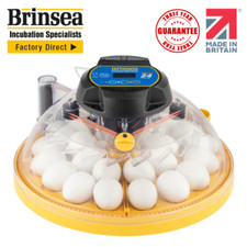 Brinsea Maxi 24 EX Egg