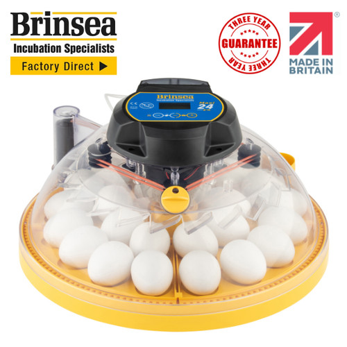 Brinsea maxi egg - brinsea,