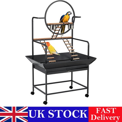 Pet parrot playstand bird - pet,