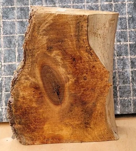 Timber scottish burr elm - timber,