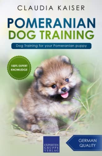 Pomeranian dog training - pomeranian,