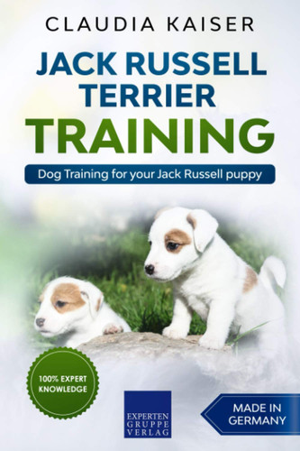 Jack russell terrier training - russell,