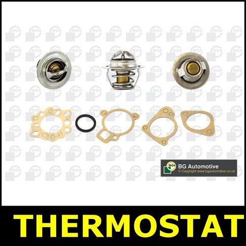 Thermostat fits ford capri - fits,