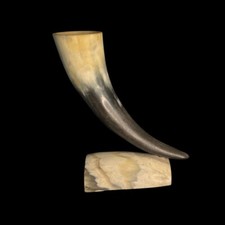 Bull Horn Mounted Ornament 
