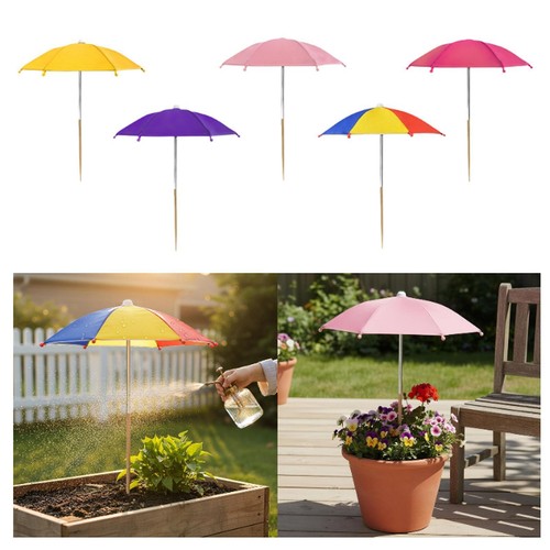 Plant umbrella canopy sun - plant,