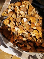 20mm Decorative Autumn Gold