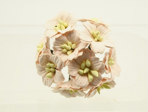 10x mulberry paper mini apple - 10x,