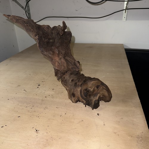 Aquarium wood fish - aquarium, tank