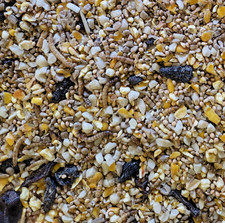 ROBIN & SONGBIRD FOOD wild