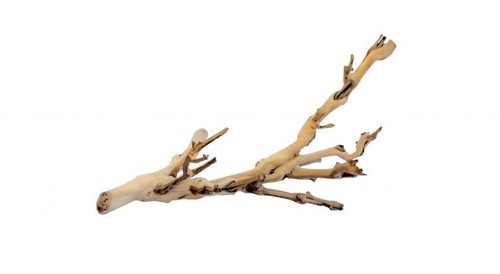 Exo terra forest branch - forest,