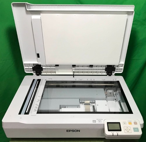 Epson 50000 flatbed - epson,