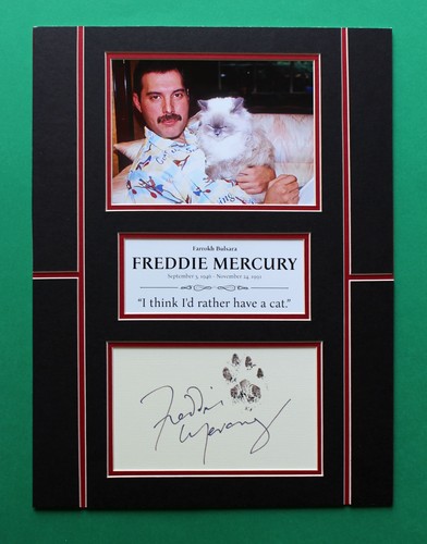 Freddie mercury autograph art - autograph,