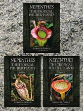 Nepenthes The Tropical Pitcher