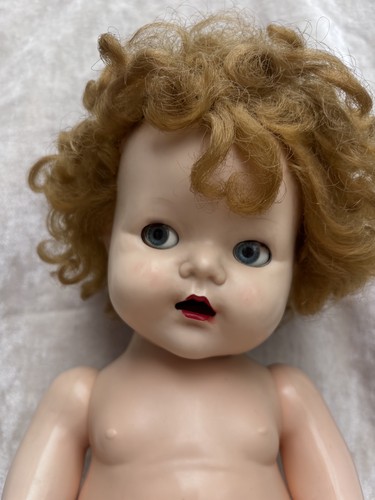 Vtg hard plastic pedigree - vtg,