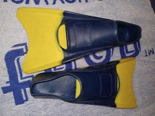 Swim fins, training flippers