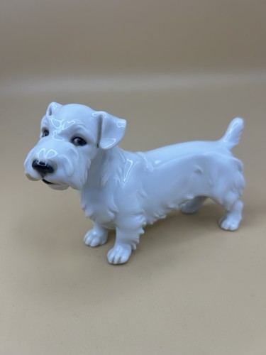 Rare augarten vienna dog - vienna,