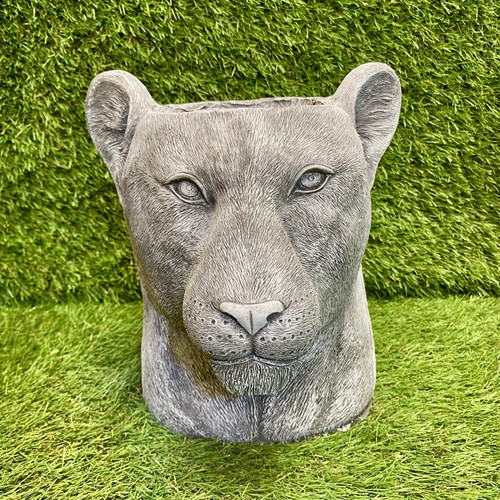 Concrete lion head planter - lion,