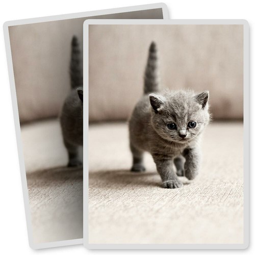 Vinyl stickers 7x10cm - 2,