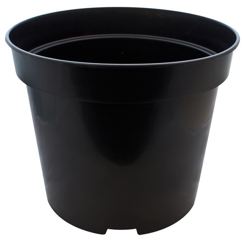 Round plastic plant - plant,