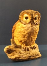 The Leonardo Collection  Owl