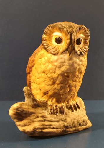The leonardo collection owl - leonardo,