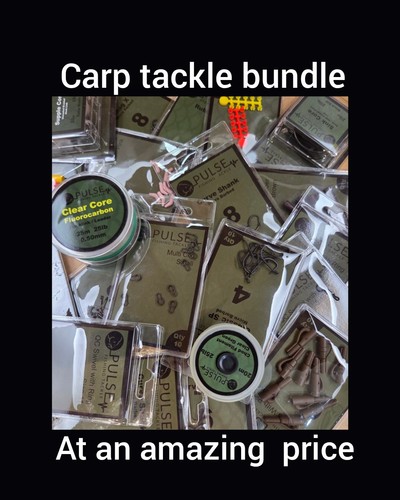 Carp fishing terminal tackle - fishing,