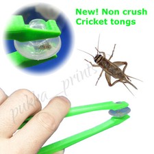 NON CRUSH Reptile tongs