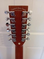 Tanglewood Winterleaf TW12CE