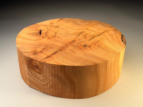 Large burr elm wood - large, turning
