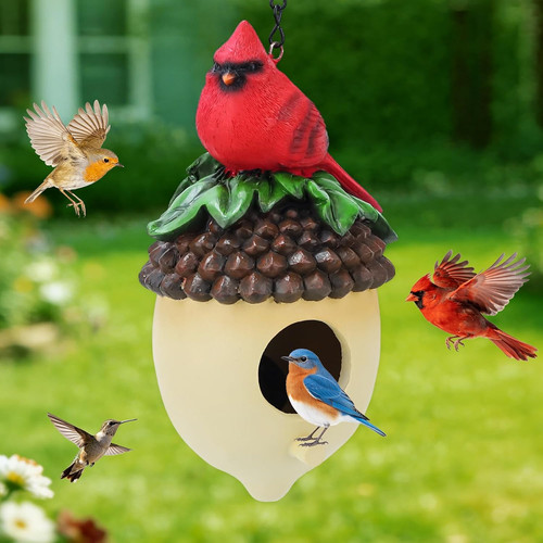 Bird houses for outside - bird,