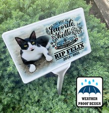 Cat Grave marker, Tree ground