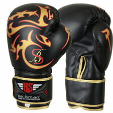 Professional Boxing Gloves