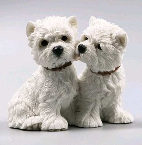 Jjm westies highland - westies,