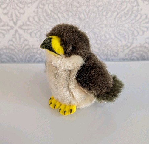 Kci peregrine falcon - kci, soft