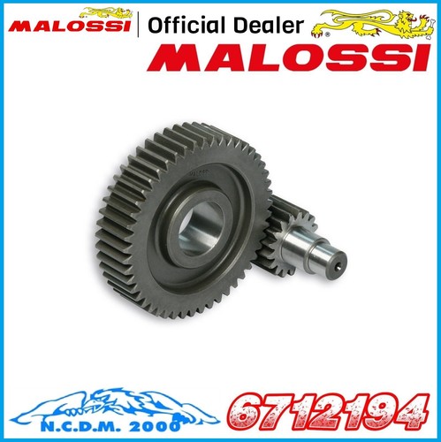Malossi secondary gears - gears, z