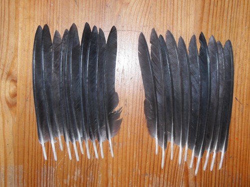 Crow pin wing - pin,